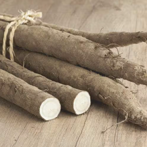 burdock root