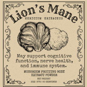 Lion's Mane Mushroom