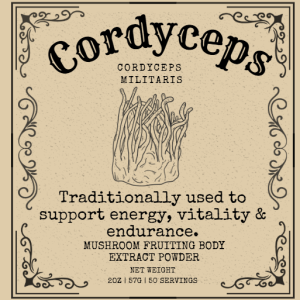 cordyceps mushrooms