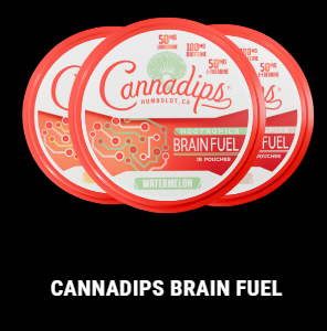 cannadip brain fuel