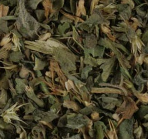 catnip