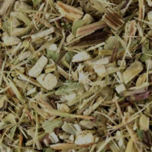 echinacea