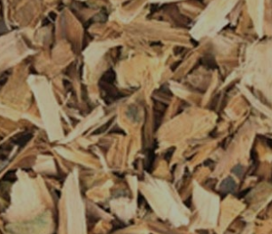 willow bark