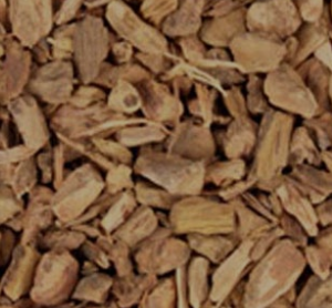 yellow dock root